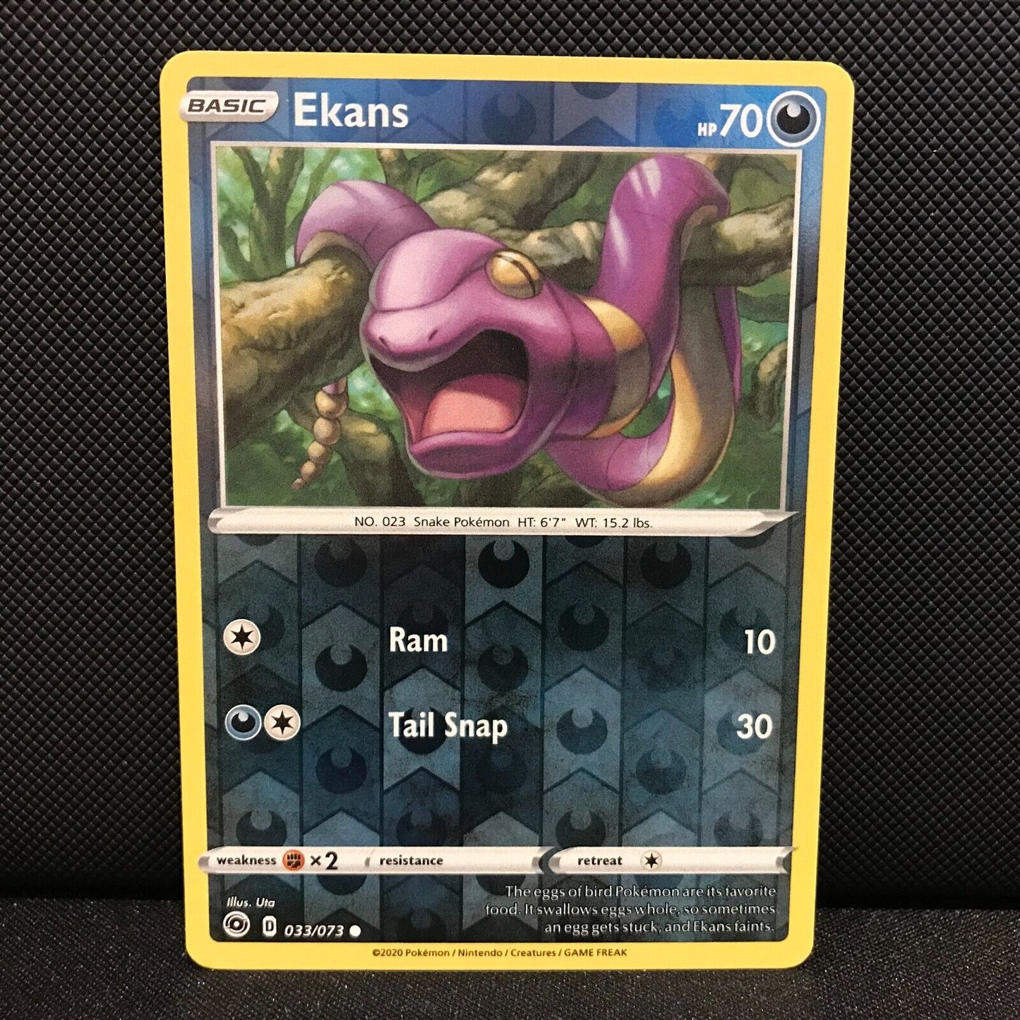Ekans Reverse Holo 33/73 - Champion's Path Pokemon Card - NM/Mint