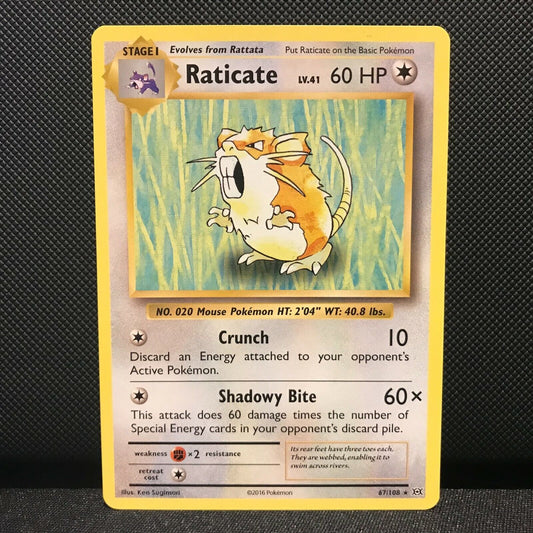 Raticate 67/108 - Evolutions Pokemon Card - NM/Mint