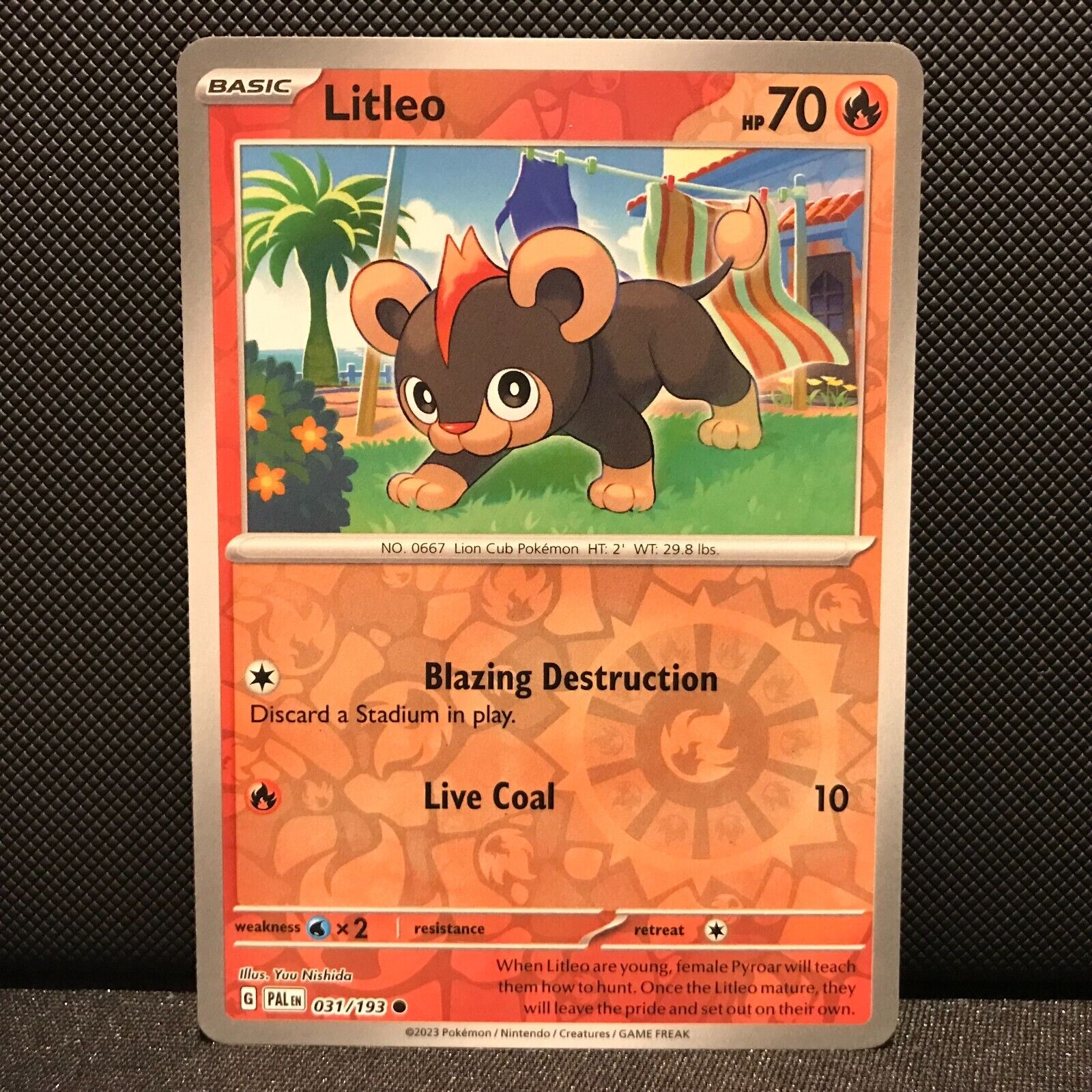 Litleo Reverse Holo 031/193 - SV2 Paldea Evolved Pokemon Card - NM/Mint