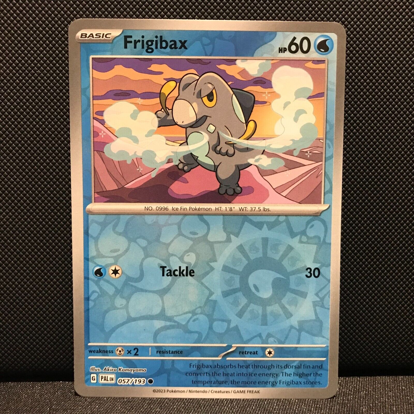 Frigibax Reverse Holo 057/193 - SV2 Paldea Evolved Pokemon Card - NM/Mint