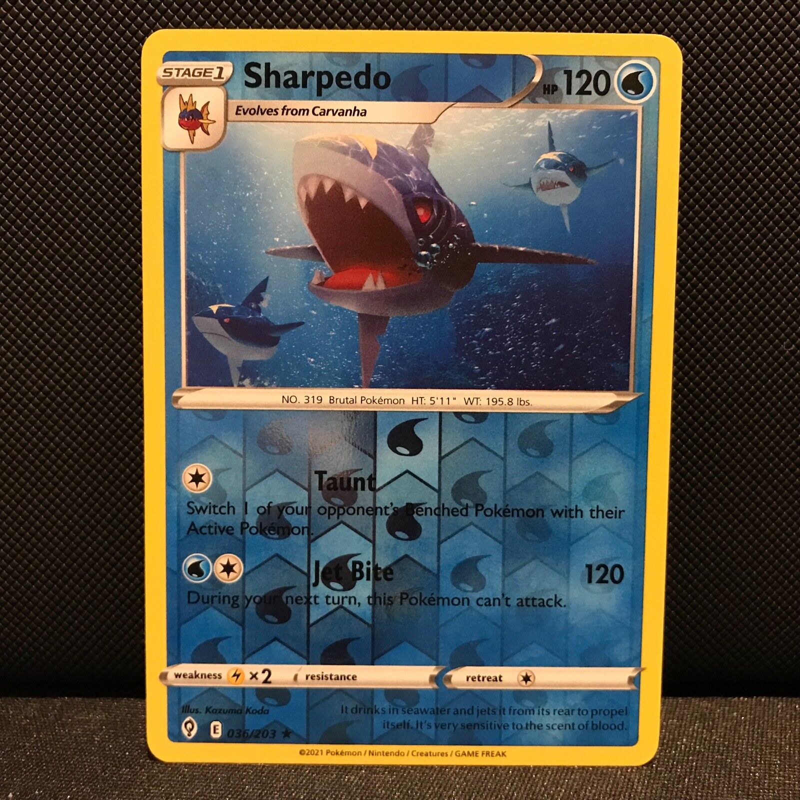 Sharpedo Reverse Holo 36/203 - Evolving Skies Pokemon Card - NM/Mint