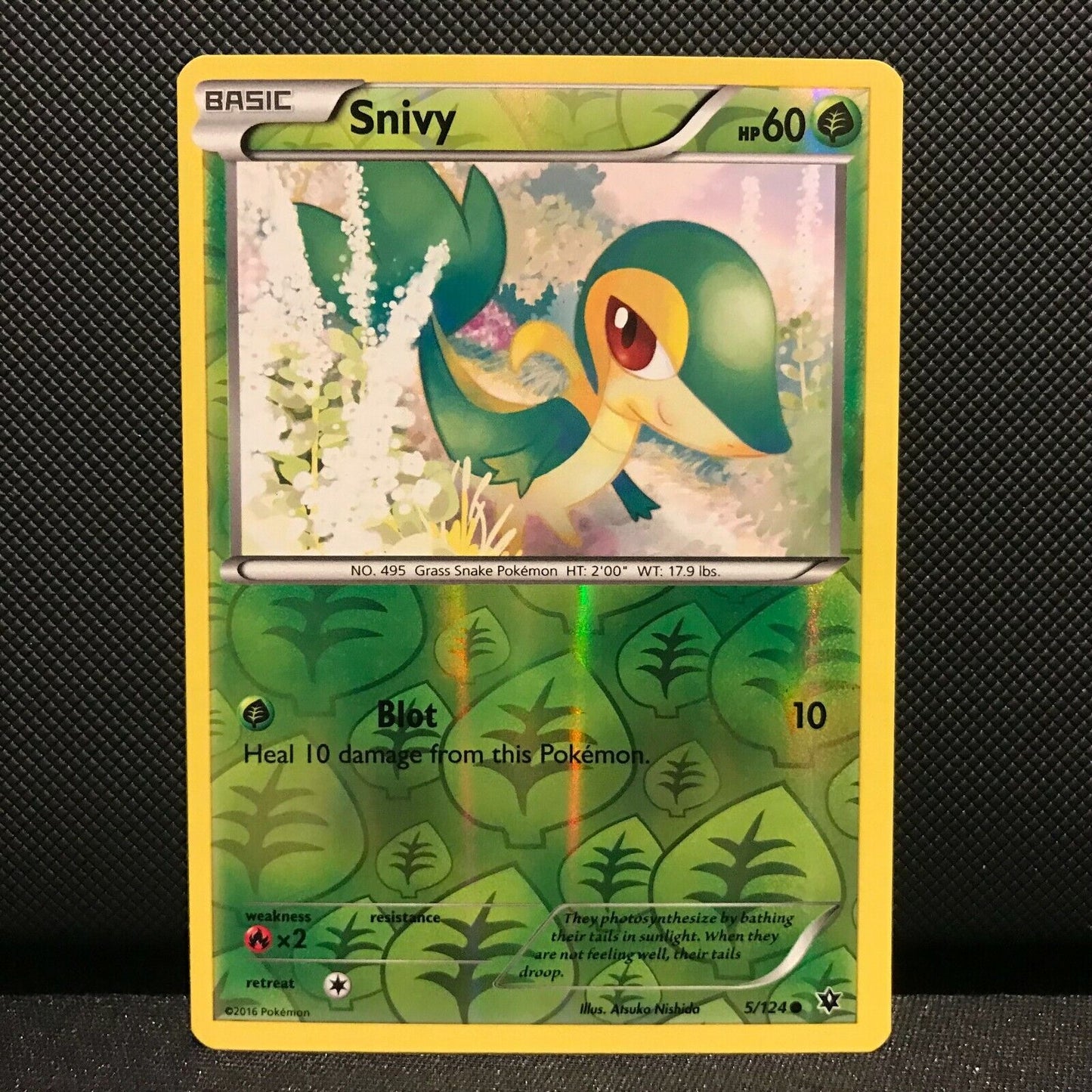 Snivy Reverse Holo 5/124 - Fates Collide Pokemon Card - NM/Mint