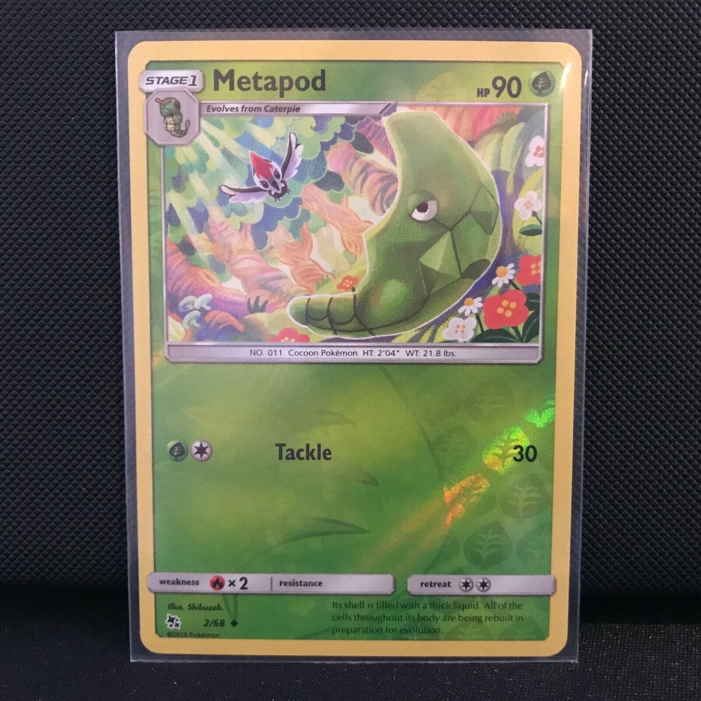Metapod 5/68 Reverse Holo - Hidden Fates Pokemon Card - NM/Mint