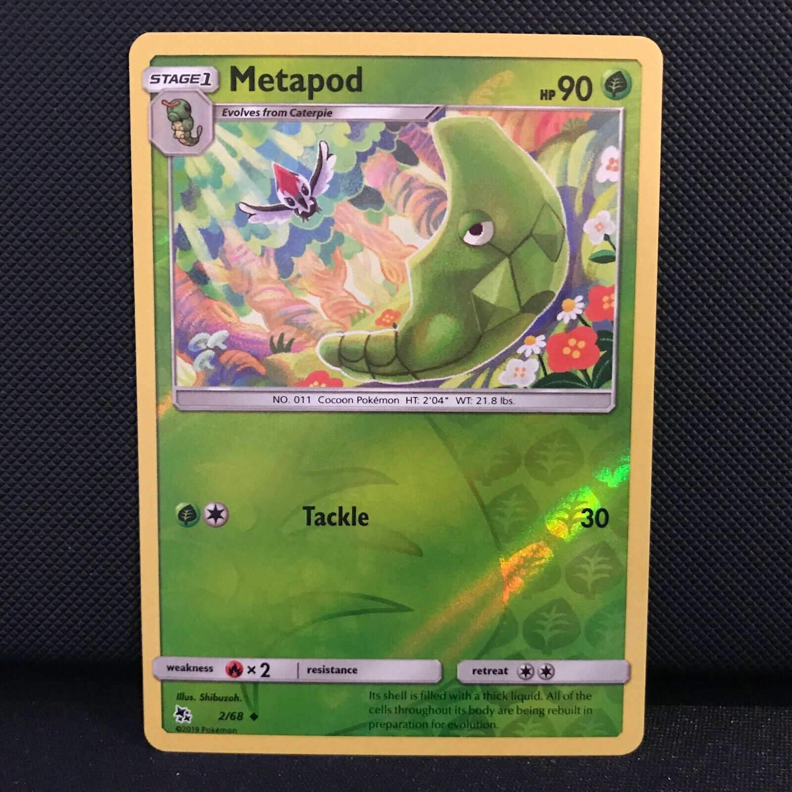 Metapod 5/68 Reverse Holo - Hidden Fates Pokemon Card - NM/Mint