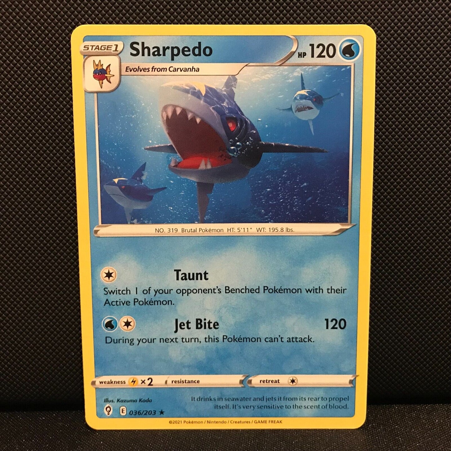 Sharpedo 36/203 - Evolving Skies Pokemon Card - NM/Mint