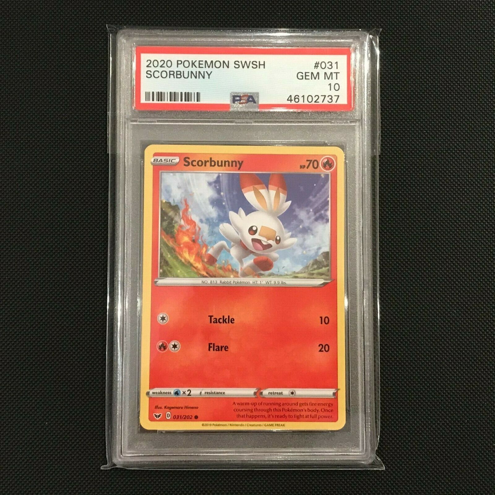 PSA 10 - Scorbunny 31/202 - Sword & Shield Pokemon Card